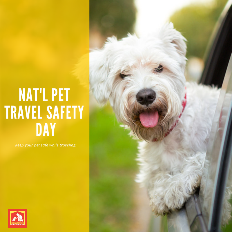 National Pet Travel Safety Day Dog Training In Your Home Columbia