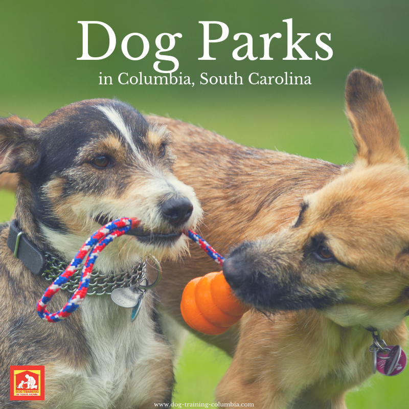 Dog Parks in Columbia, SC | Dog Training In Your Home - Columbia