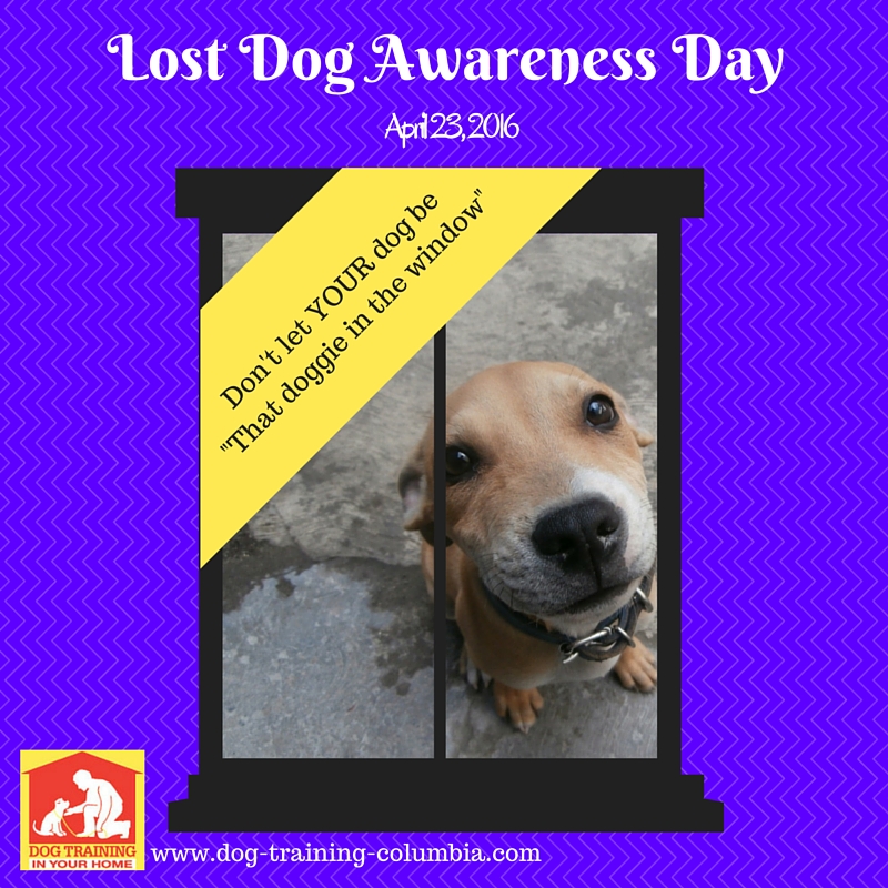 Lost Dog Awareness Day 2016 - Dog Training In Your Home - Columbia