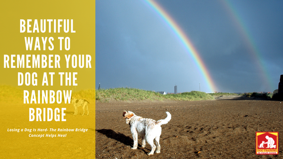 Rainbow Bridge Memorials | Dog Training In Your Home Columbia