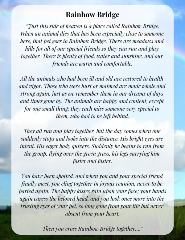 Rainbow Bridge Memorial Ideas Dog Training In Your Home Myrtle